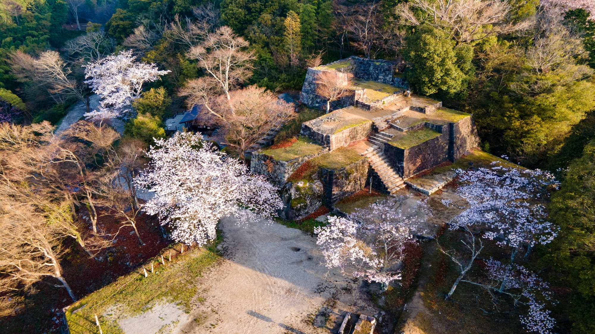 苗木城跡＜春＞■当館から車で13分