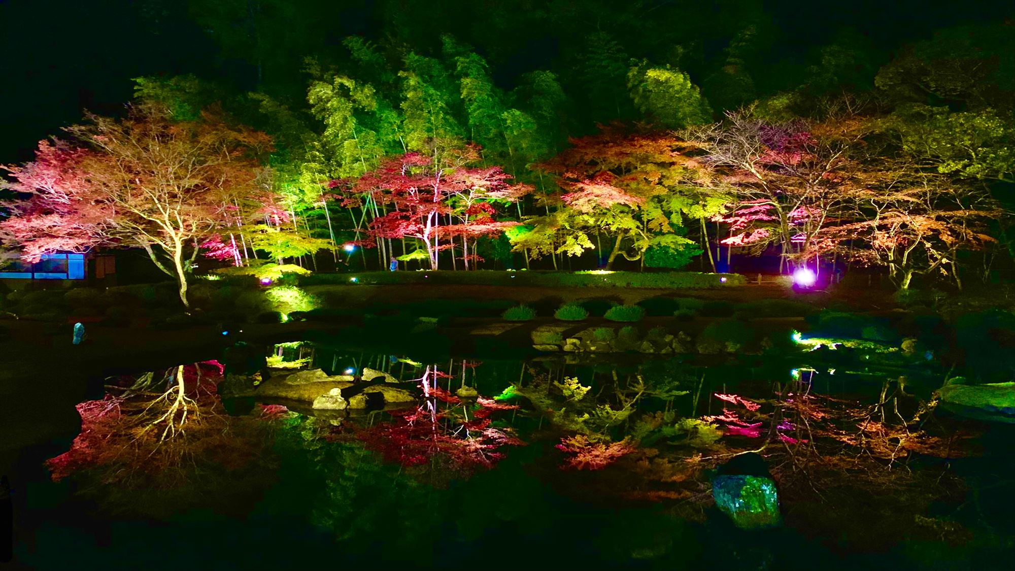 【周辺観光】常栄寺雪舟庭　秋（当館から車で約15分）