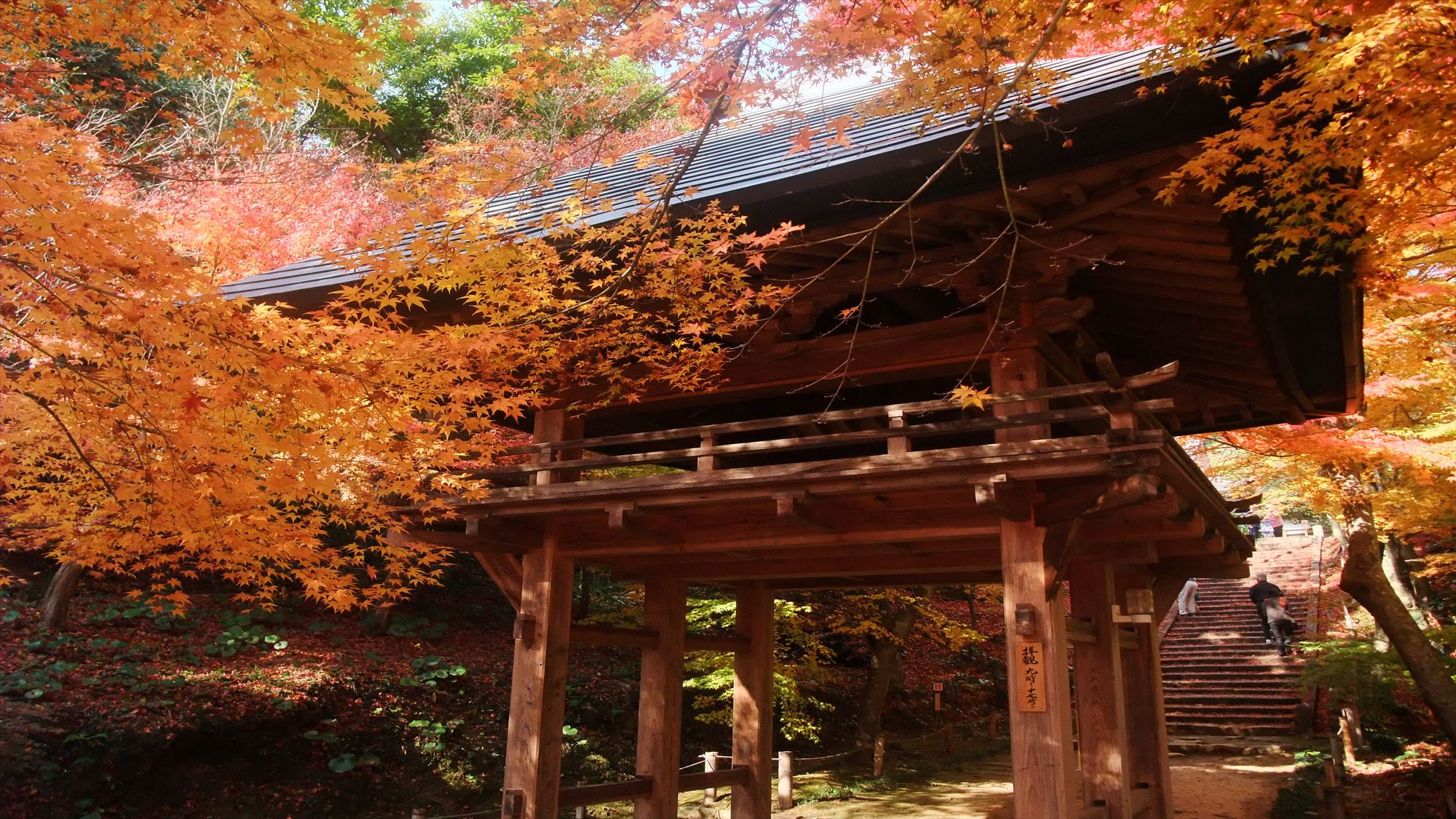 【周辺観光】両足寺　秋（当館から車で約25分）