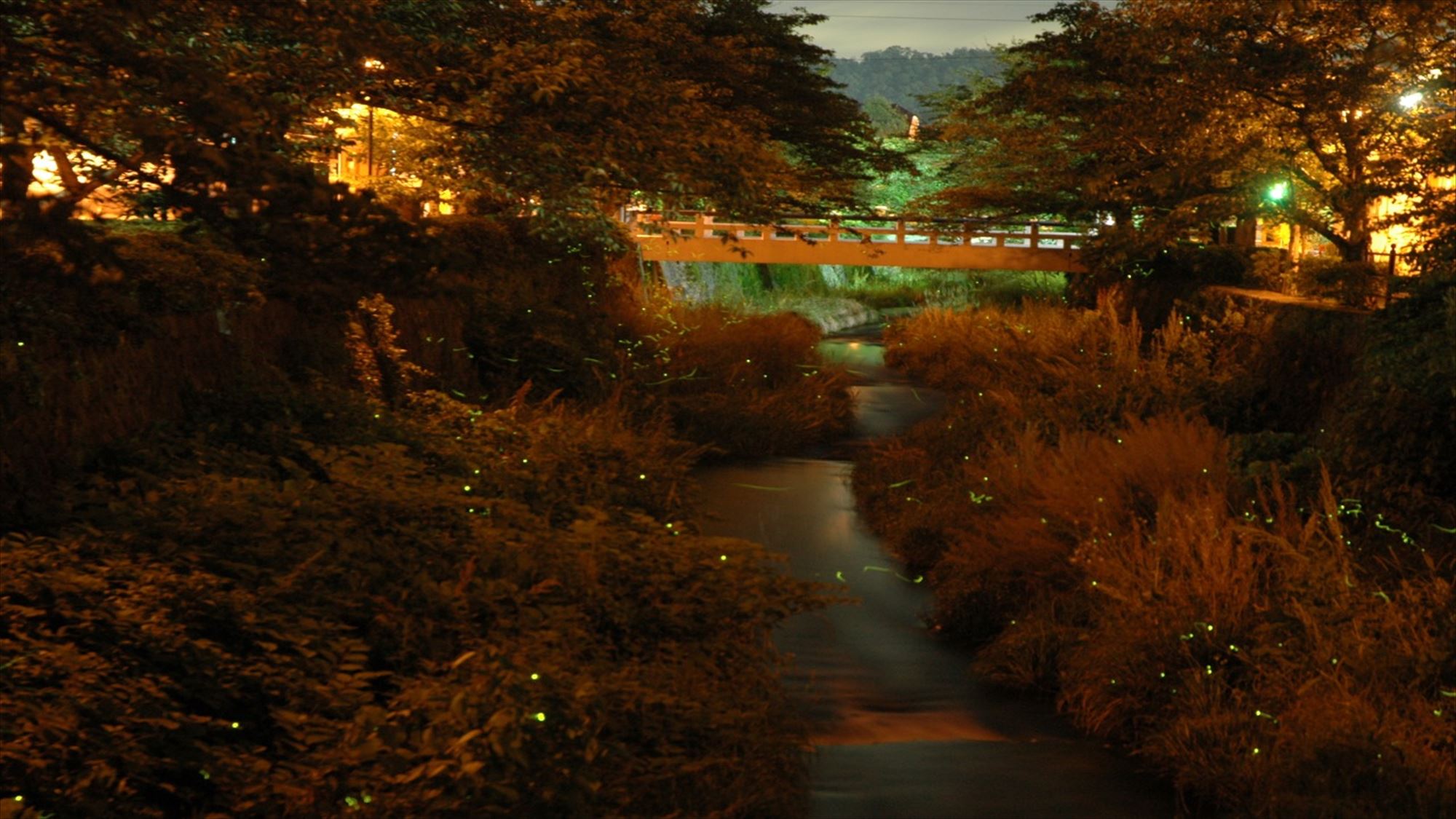 【イベント｜5月】一の坂川ホタル観賞WEEK