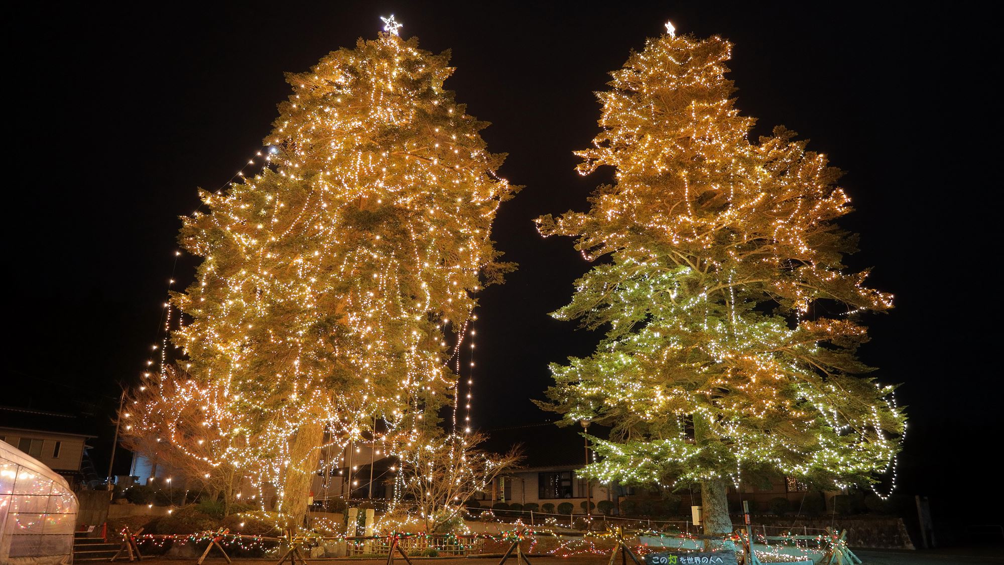 【イベント｜12月】クリスマスナイトフェスティバル