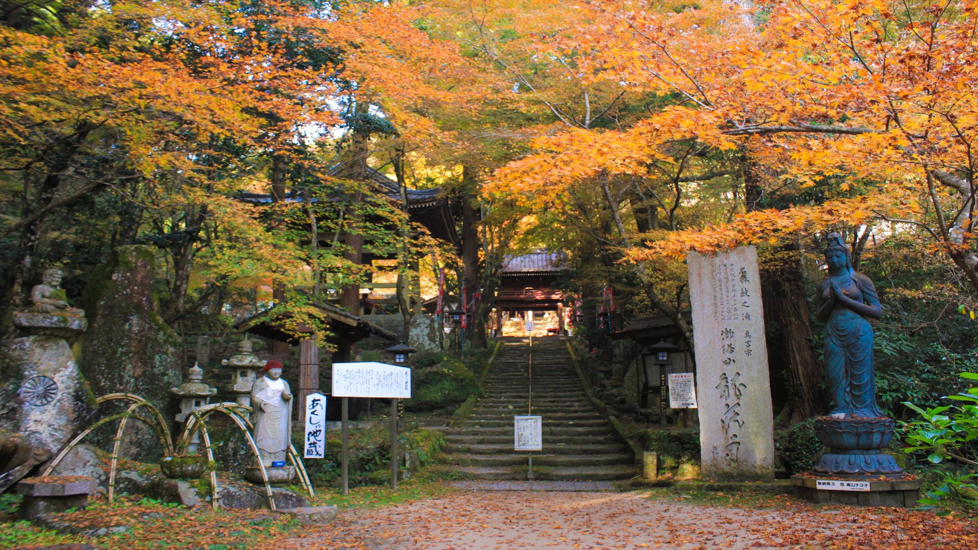 【周辺観光】龍蔵寺　秋（当館から車で約12分）