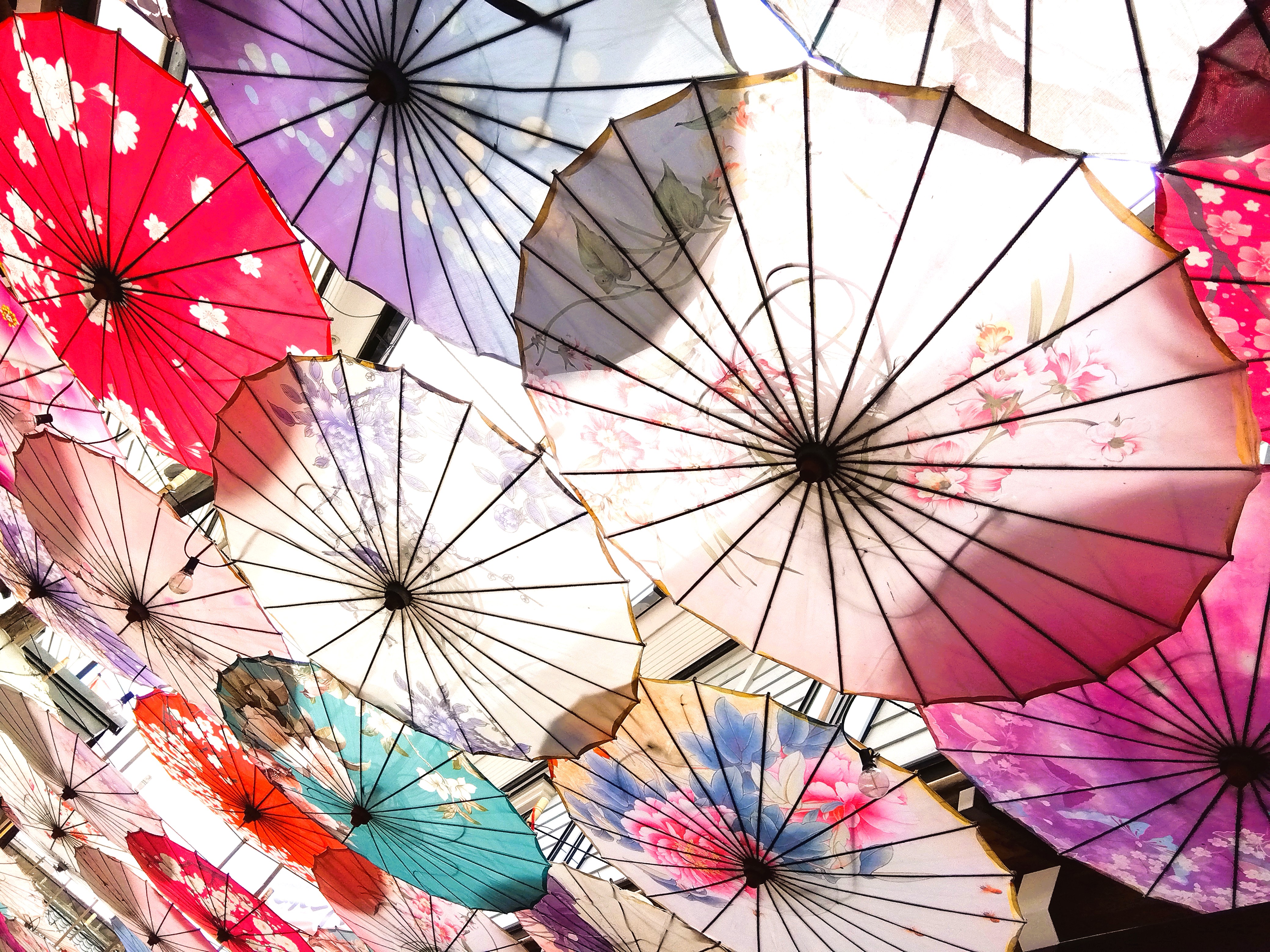 【季節の景観：夏】堺町通りの和傘スカイ