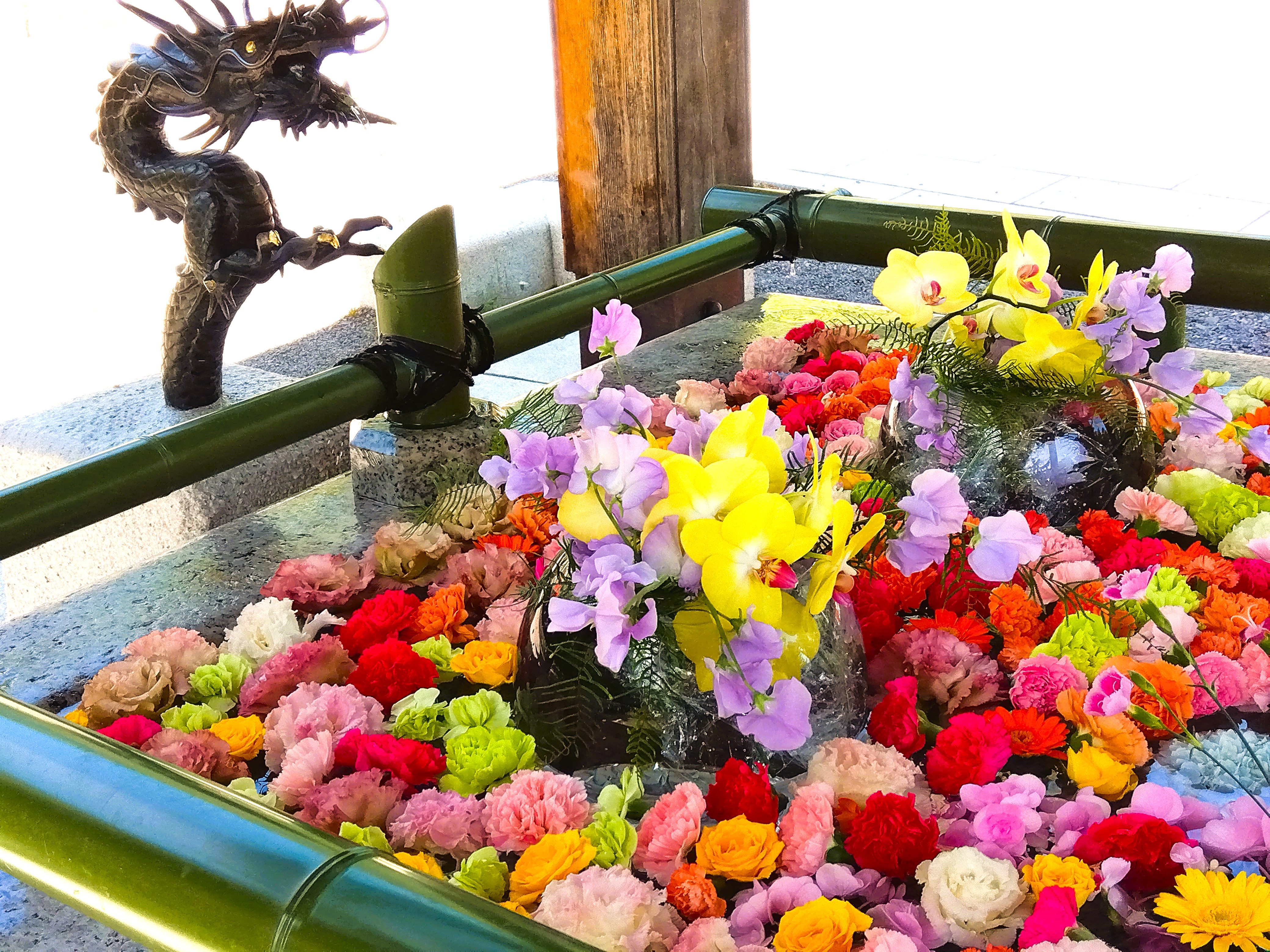 【季節の景観：春】住吉神社の花手水