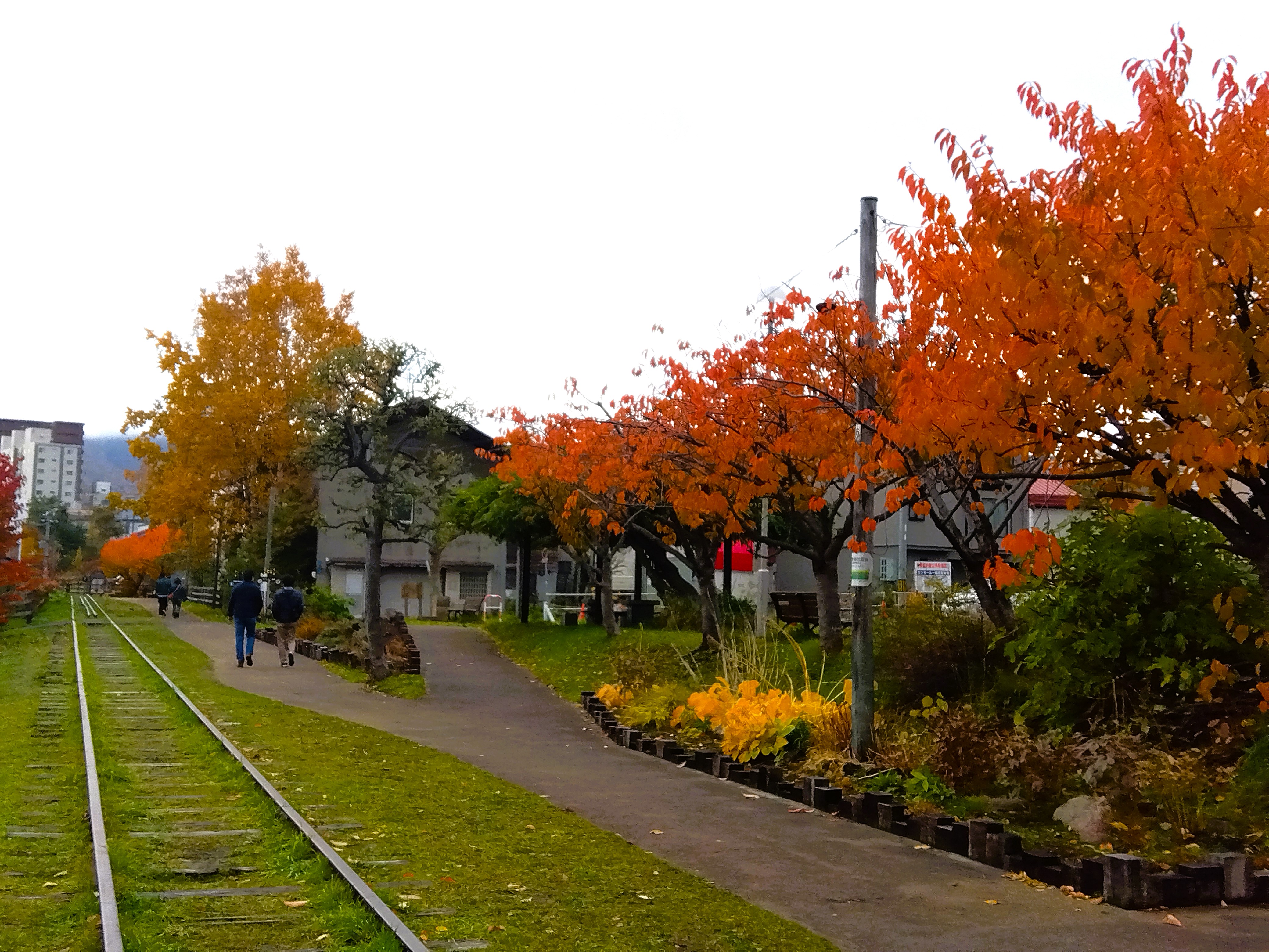 【季節の景観：秋】旧手宮線跡の紅葉
