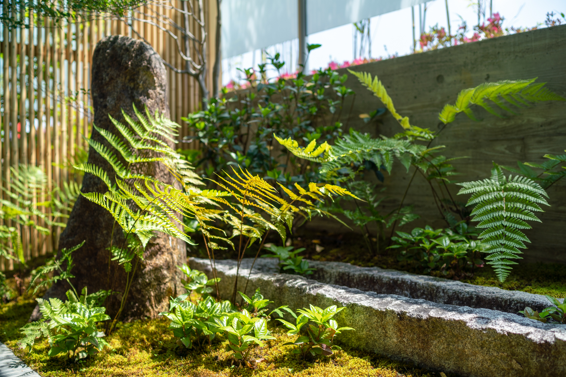 Guest room garden