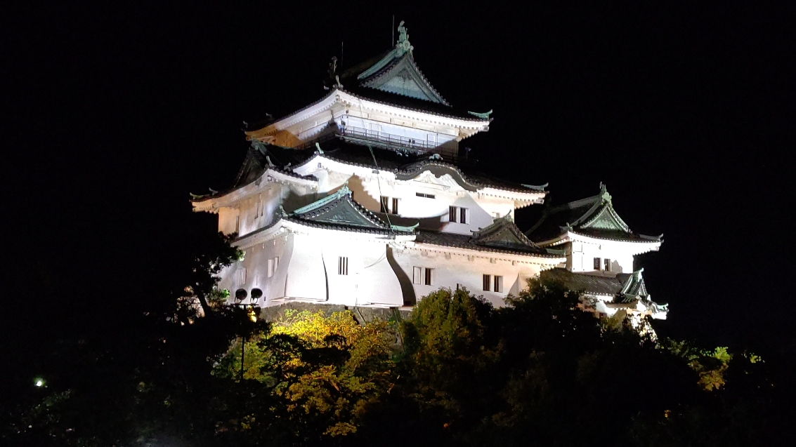 【和歌山城（夜景）】ホテルから車で40分