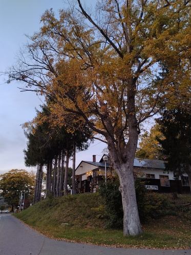 晩秋の旧国鉄保養所　