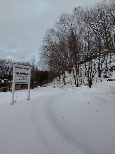 雪でも、線路はなんとなくわかりますね。