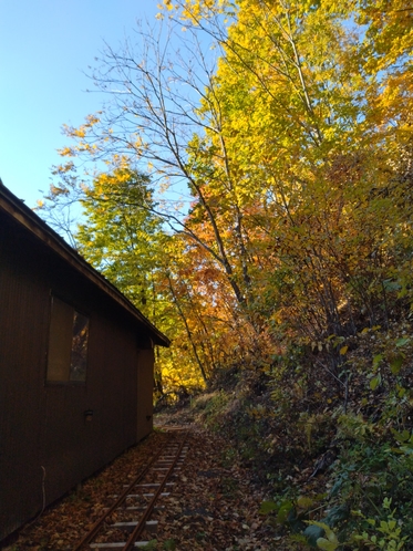 裏山側の線路の落ち葉