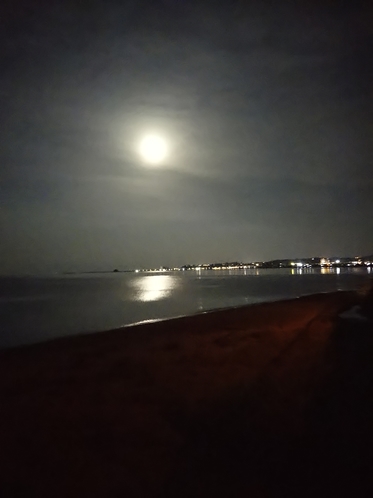 網走の夜の海岸線