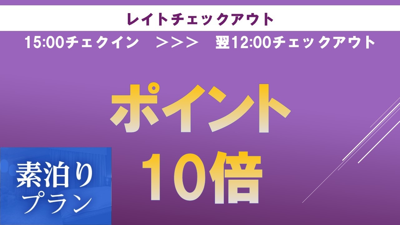 【楽天限定】ポイント10倍12時アウト☆泊まってお得感謝プラン≪素泊り≫