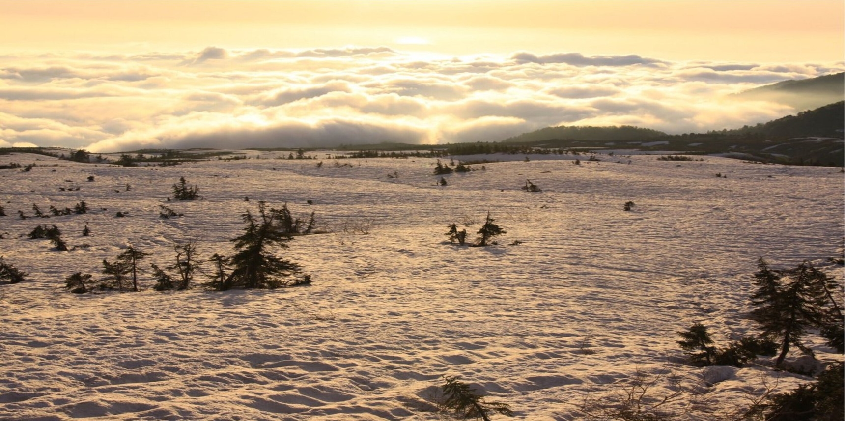 【夕食グレードアッププラン】特別会席料理で富山の山海の幸に舌鼓◇飲み放題＆朝食バイキング（2食付き）