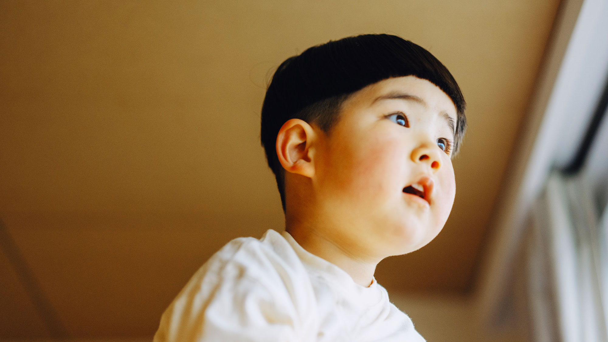 【ファミリールーム"ロフト"】お子様の目がひときわ輝いて興味津々！見つけたのは…？