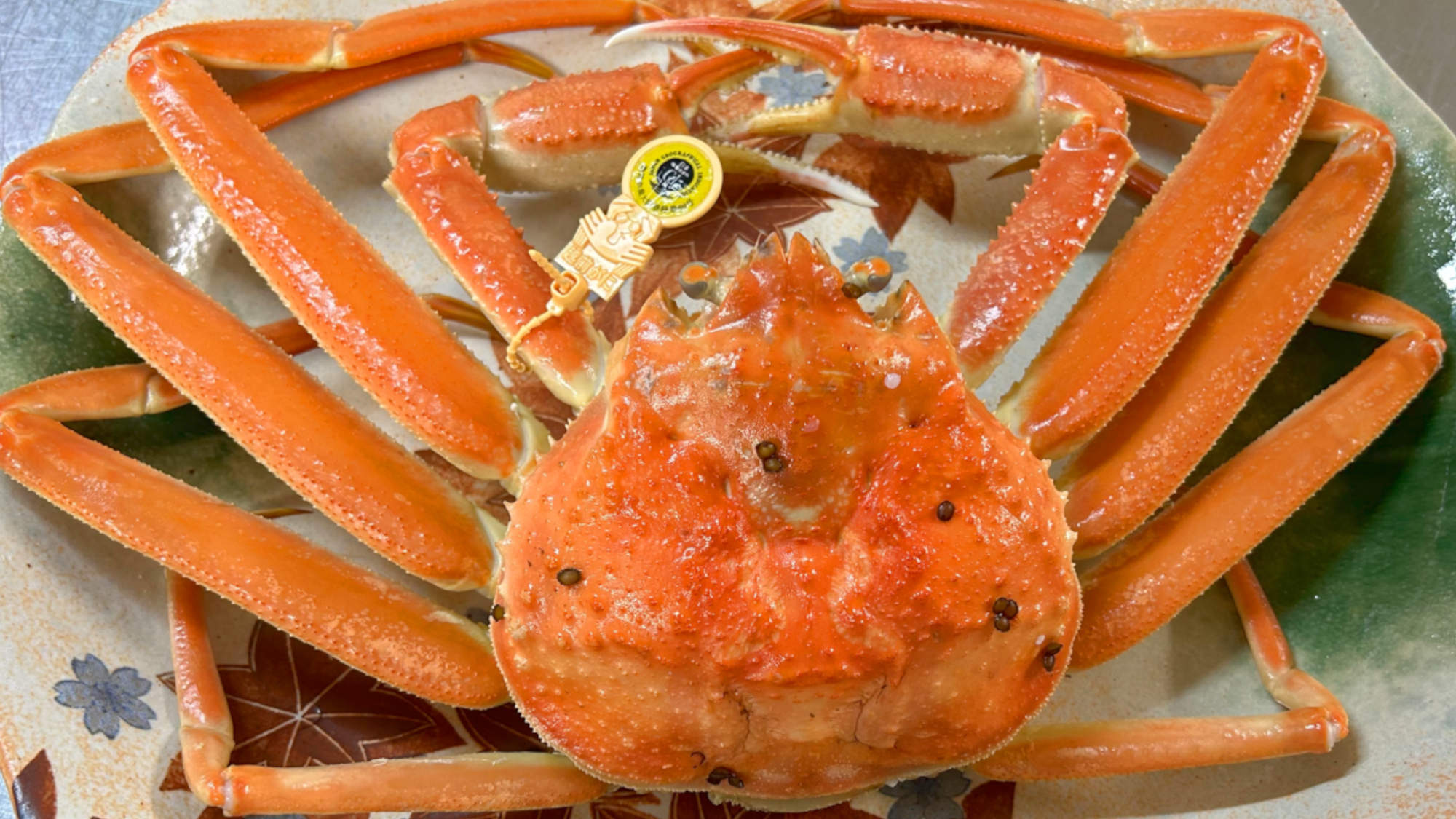 【宿泊棟・越前カニ（2食）】福井の味覚！かにの王様「越前蟹」を満喫！越前美山の自然＆温泉