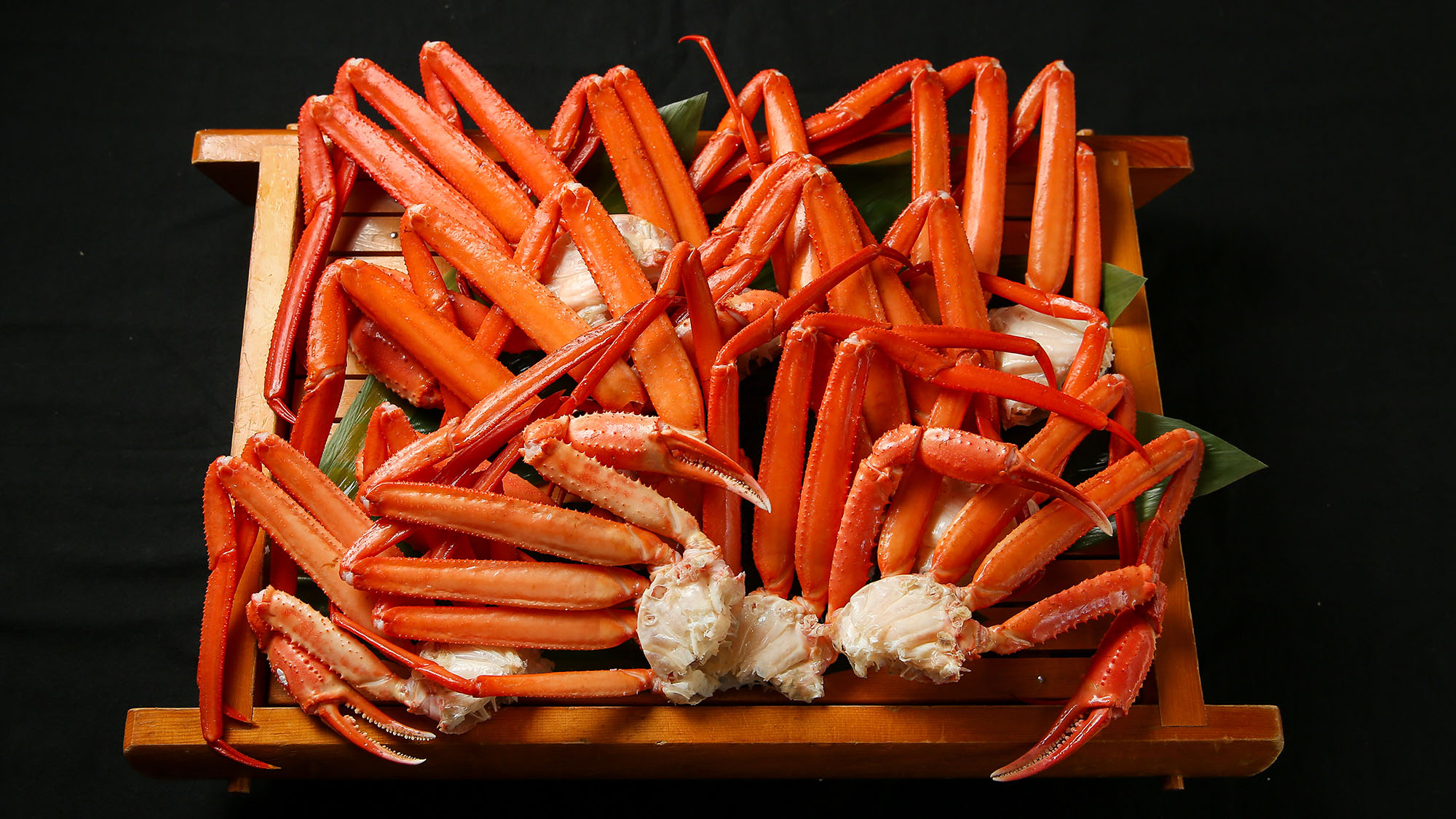 ・【蟹付スタンダードプラン】鮮やかな紅色と甘みのあるやわらかな身が特徴の越前紅ズワイ蟹