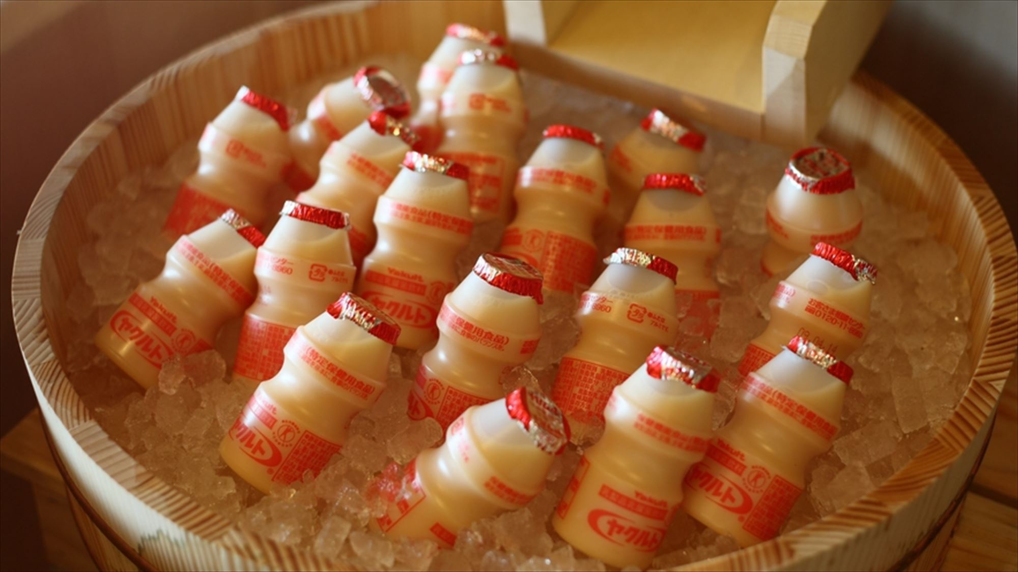 ■乳酸菌無料サービス«5時～10時»