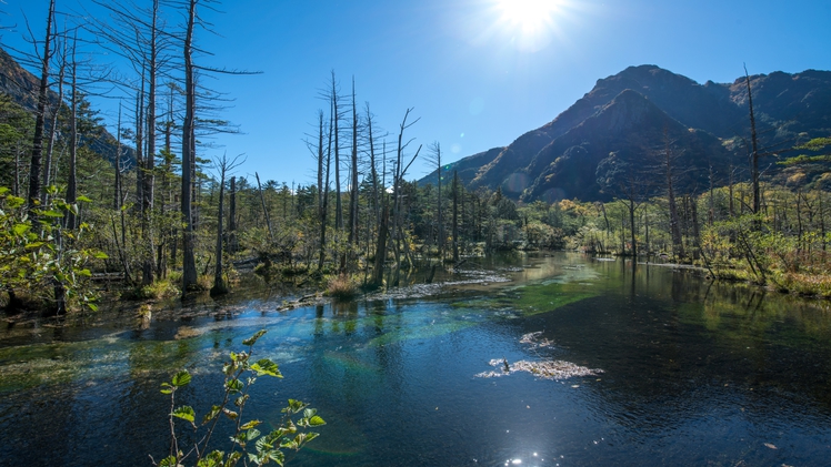 ■上高地　水(提供-新まつもと物語)