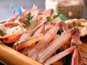 【個室食】＜タグ付き松葉蟹1杯＞蟹はやっぱり活蟹で♪ちょい贅沢コース！