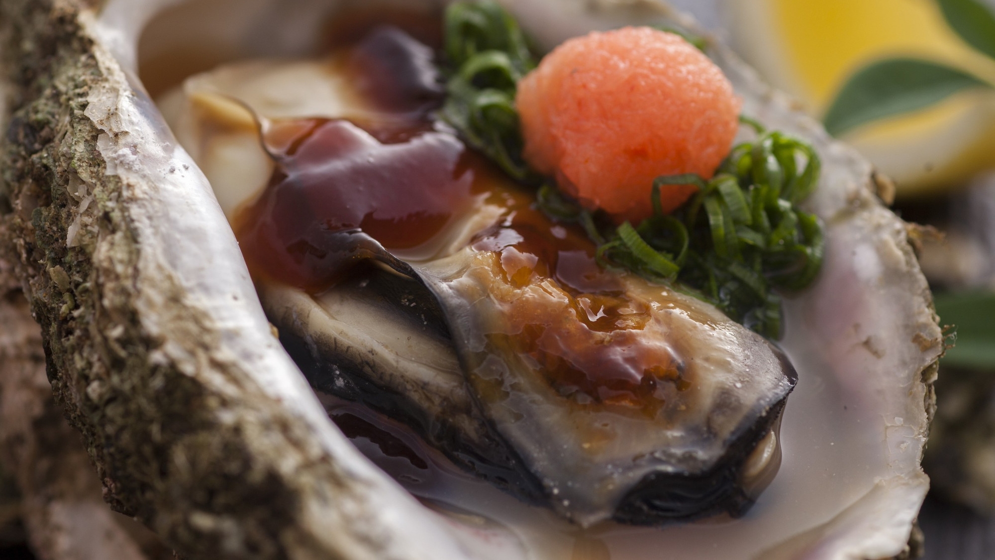【個室食】岩牡蠣フルコース 