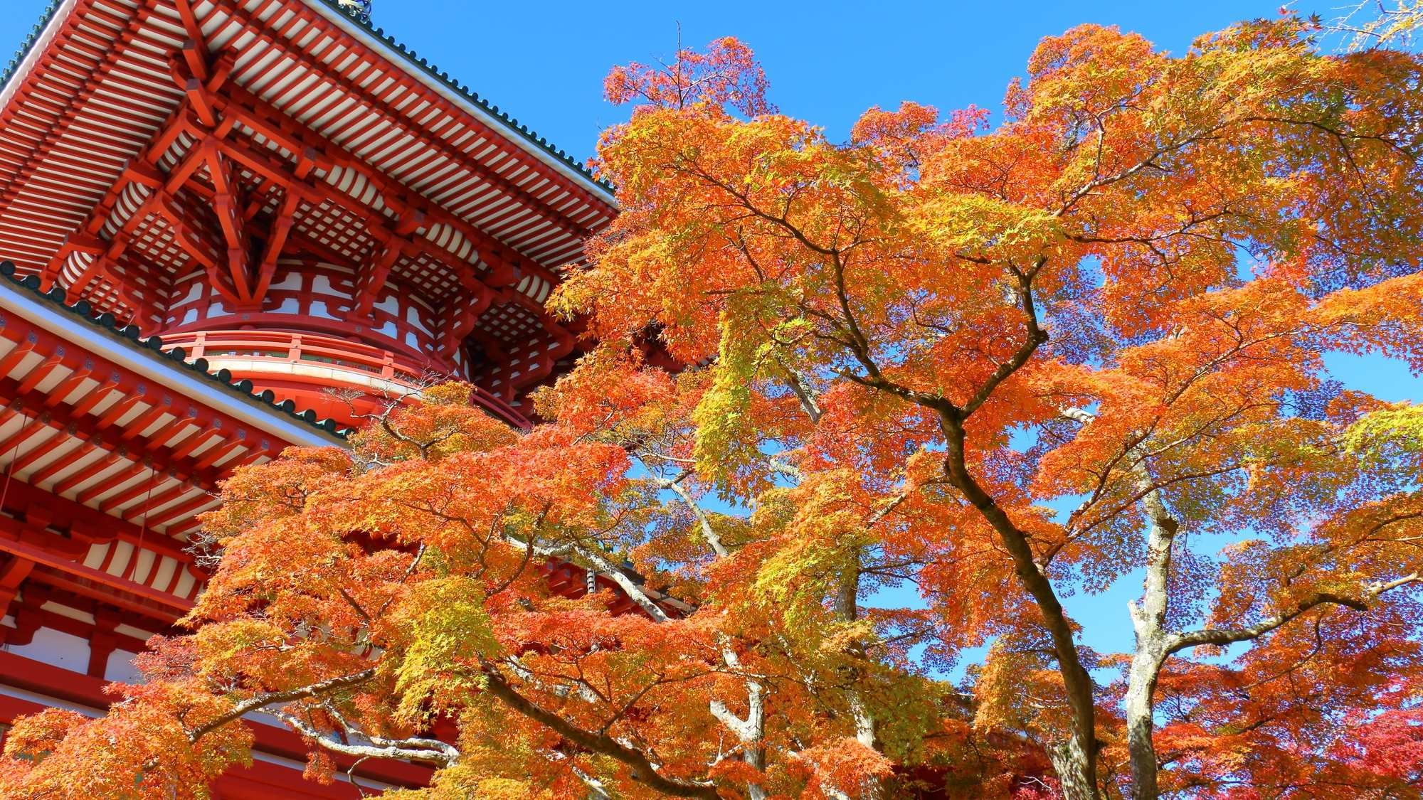 【11月限定】成田山秋詣×秋の味覚を愉しむ和空オリジナル京会席プラン／2食付