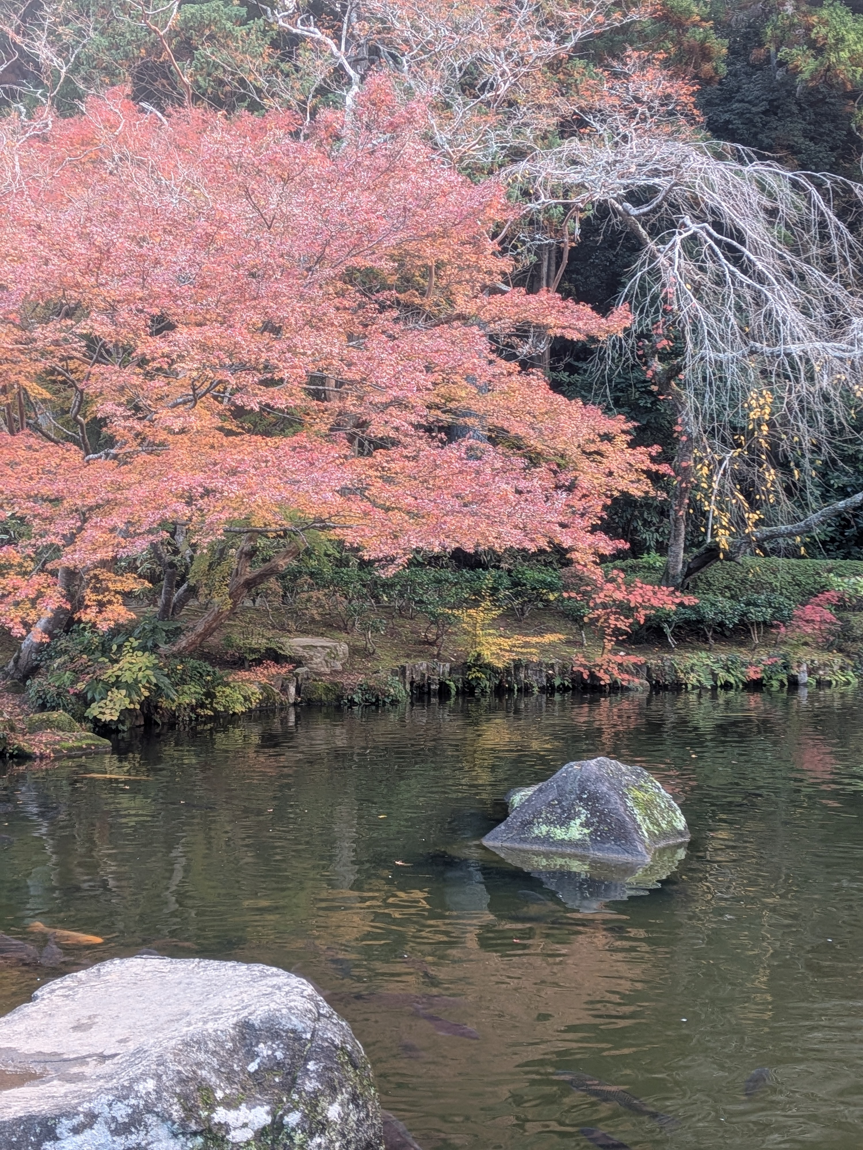 和空 成田山門前 - 写真 83