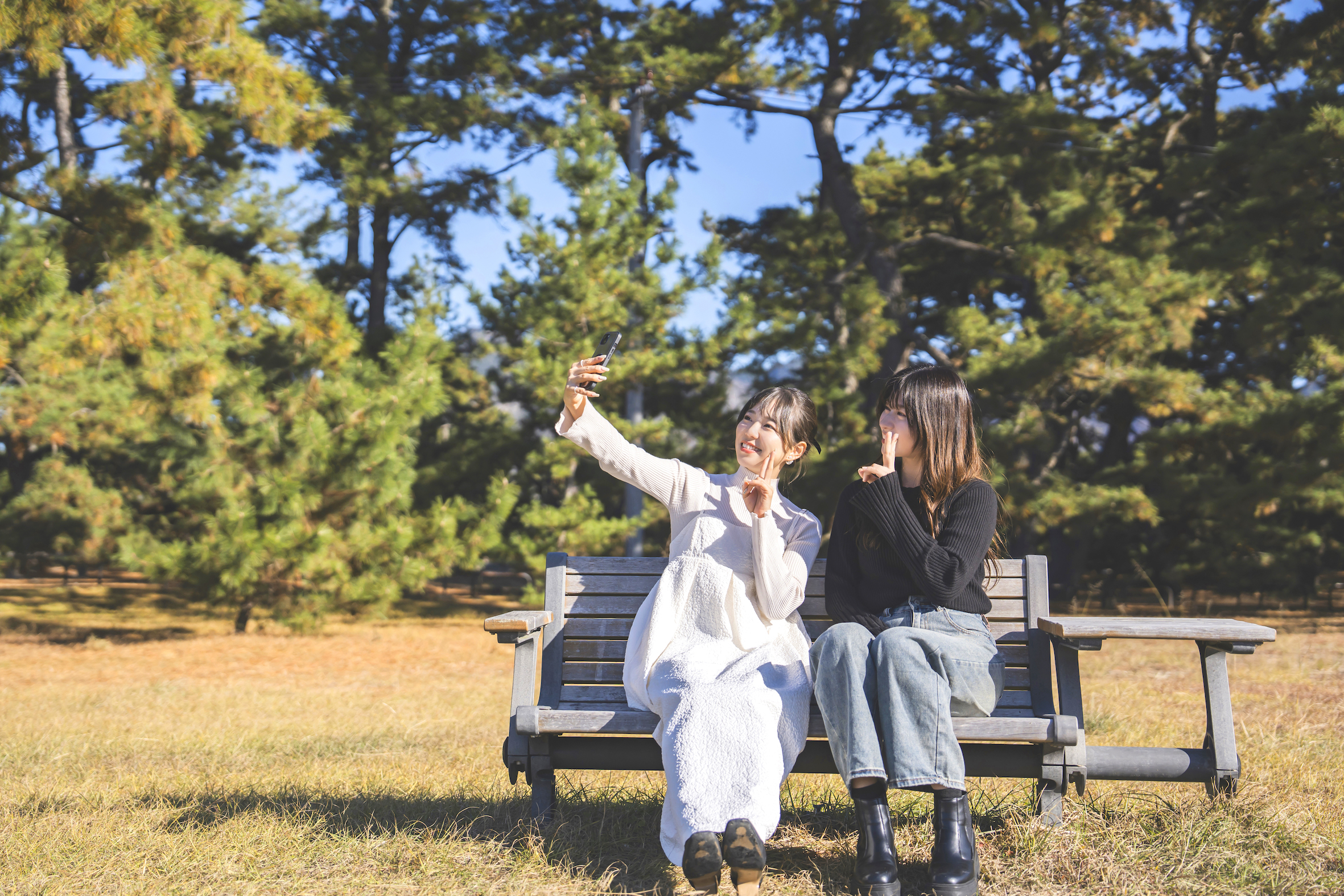 琴弾公園の松林でのお散歩【周辺情報】