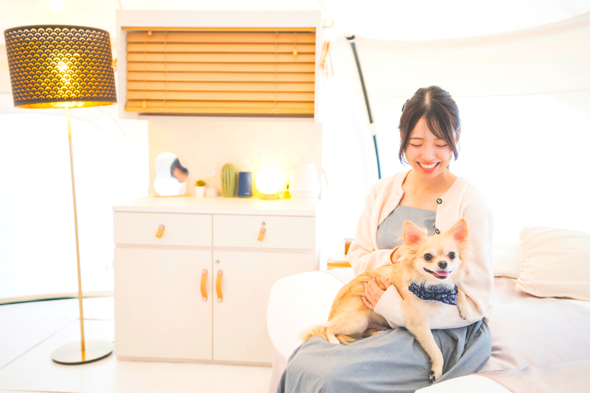 Nakisuna Dog Suite Glamping Tent【11月より新設予定】