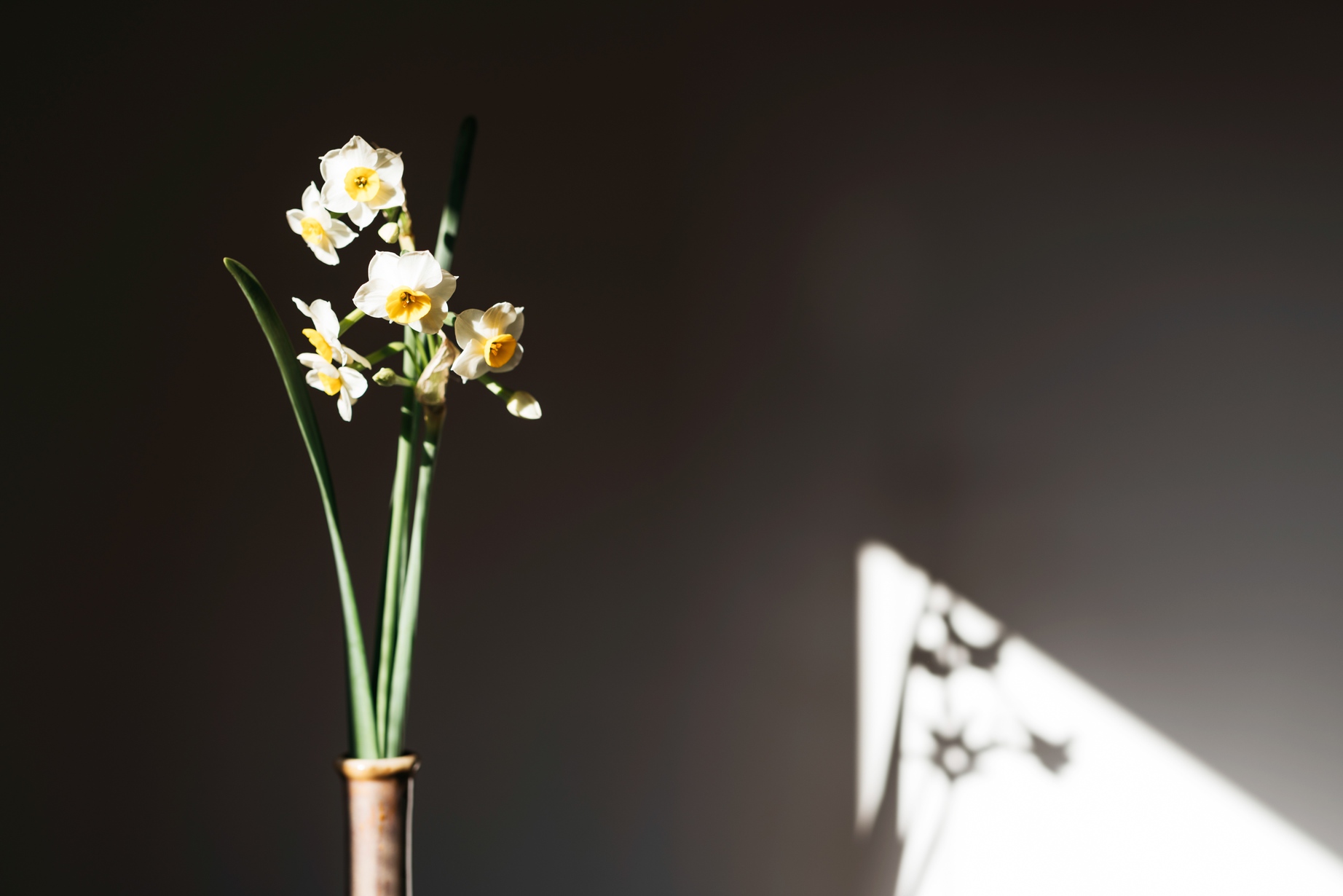 ゆっくり暮らすように泊まる日帰り天然温泉付き＜素泊まりプラン＞