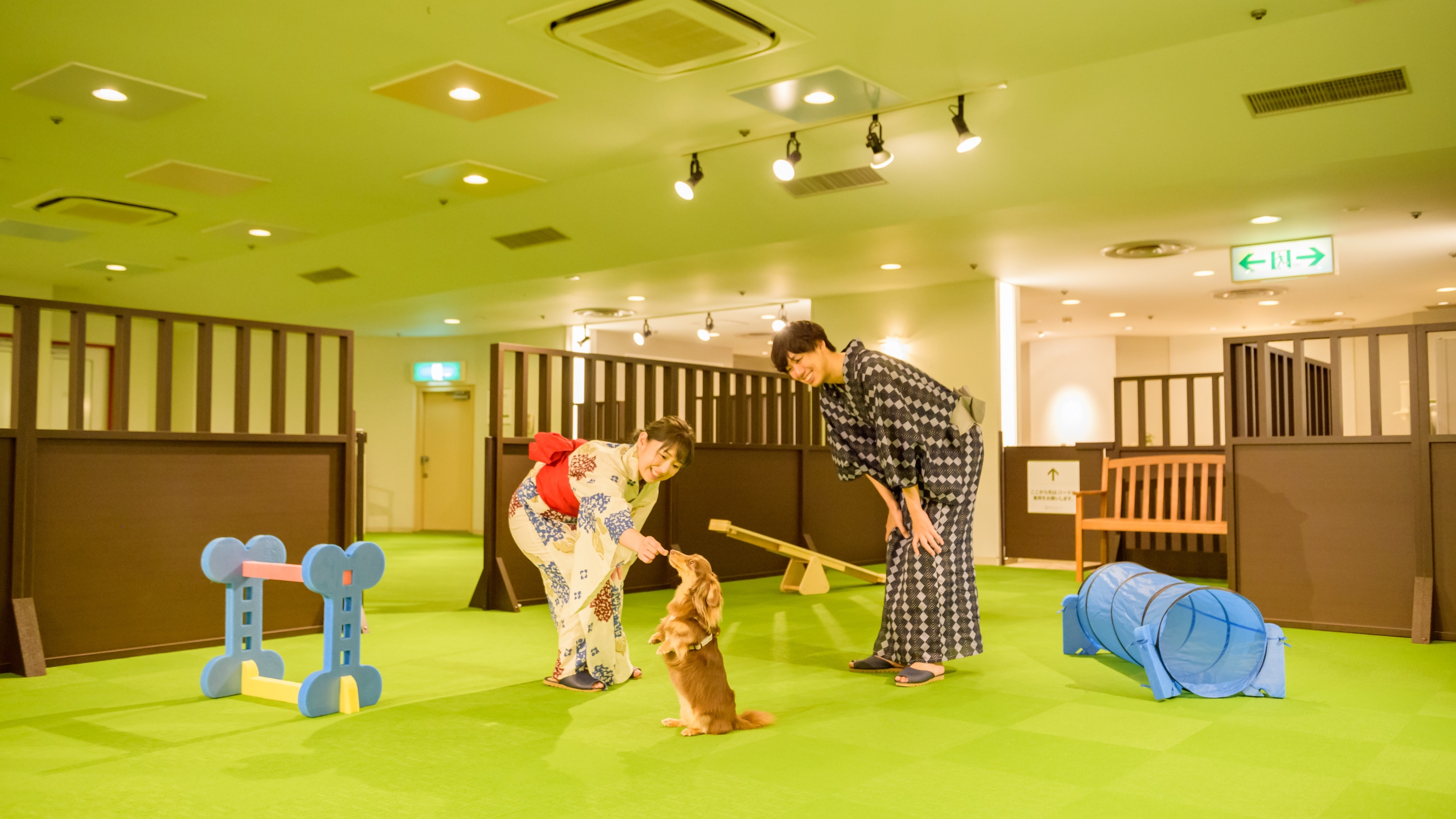 屋内ドッグラン