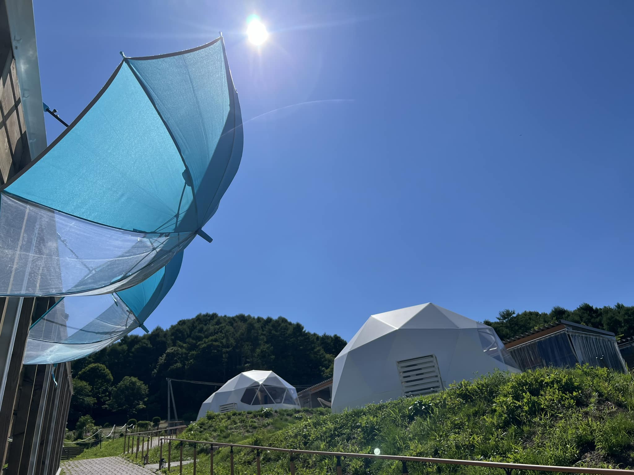 夏の日差し