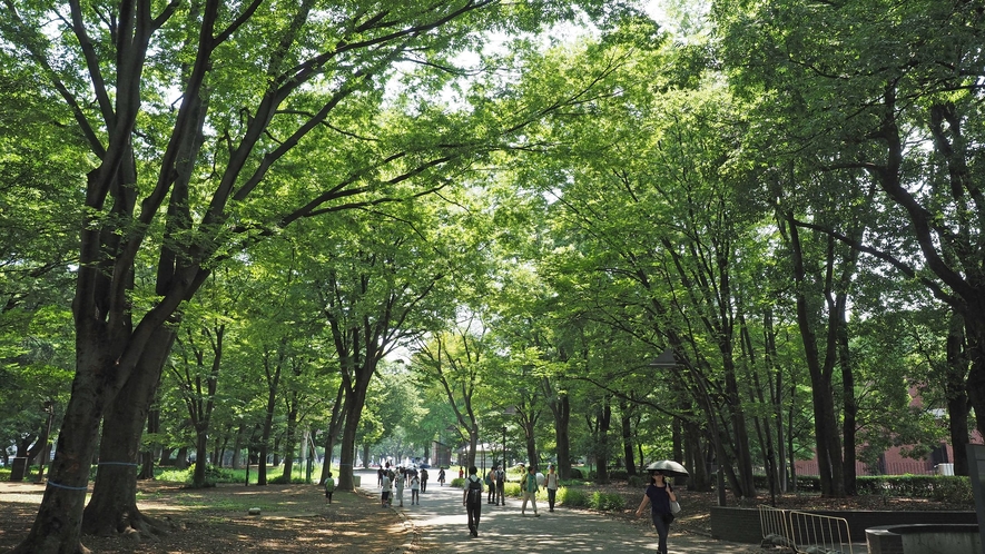 上野恩賜公園　写真提供：台東区