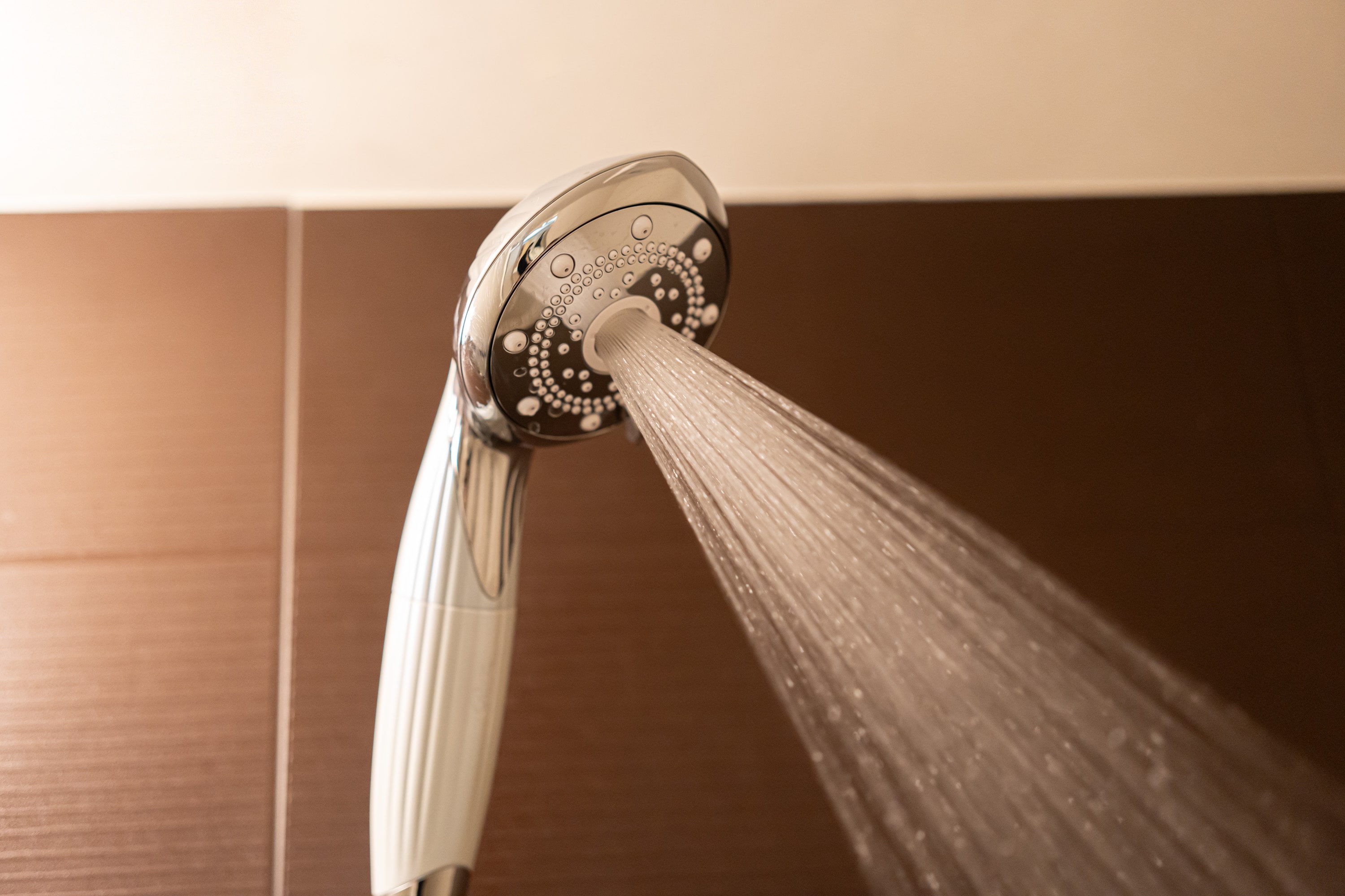 【プラン限定特典】 ReFaシャワーヘッド