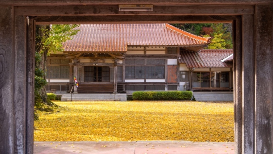 【長江寺】境内を埋め尽くす黄金色のじゅうたん。