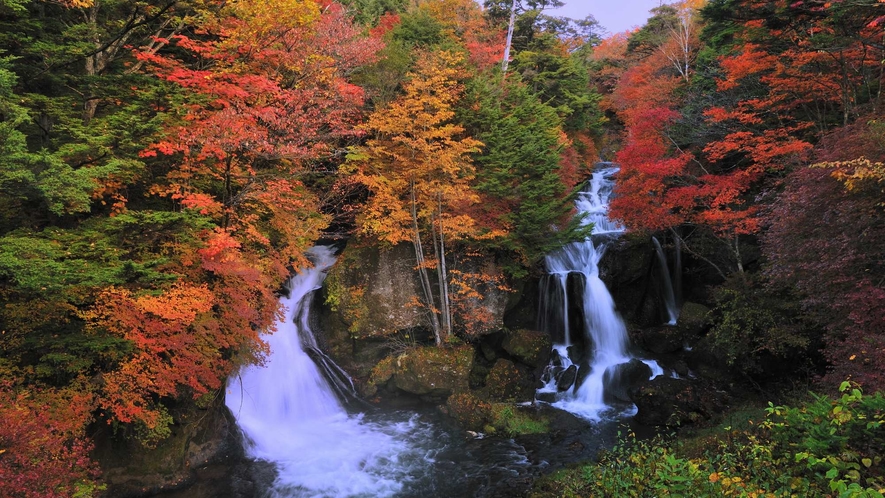 【龍頭が滝】「日本の滝百選」に選定滝。当館より車で50分。