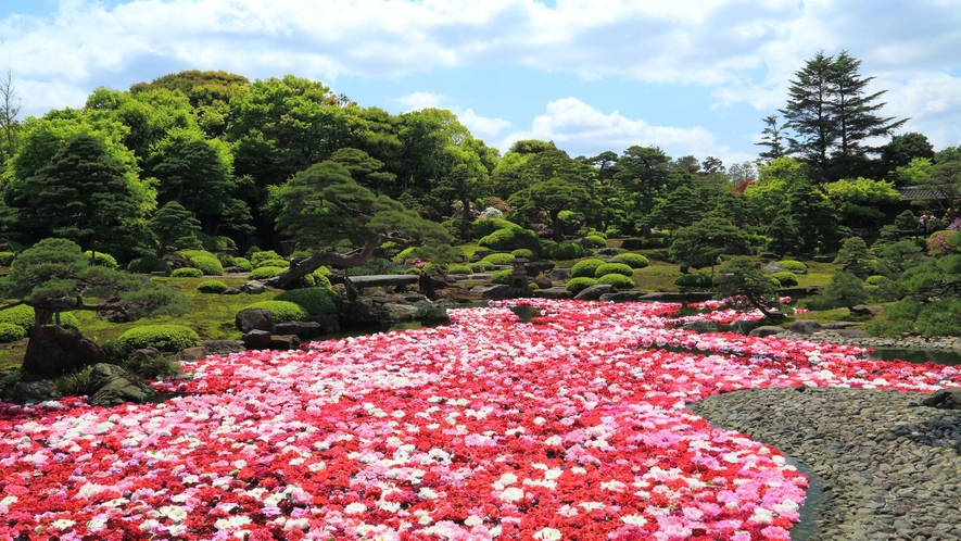 【由志園の庭園】由志園のある大根島は牡丹苗の日本一の生産地。四季の移ろいを楽しめます。