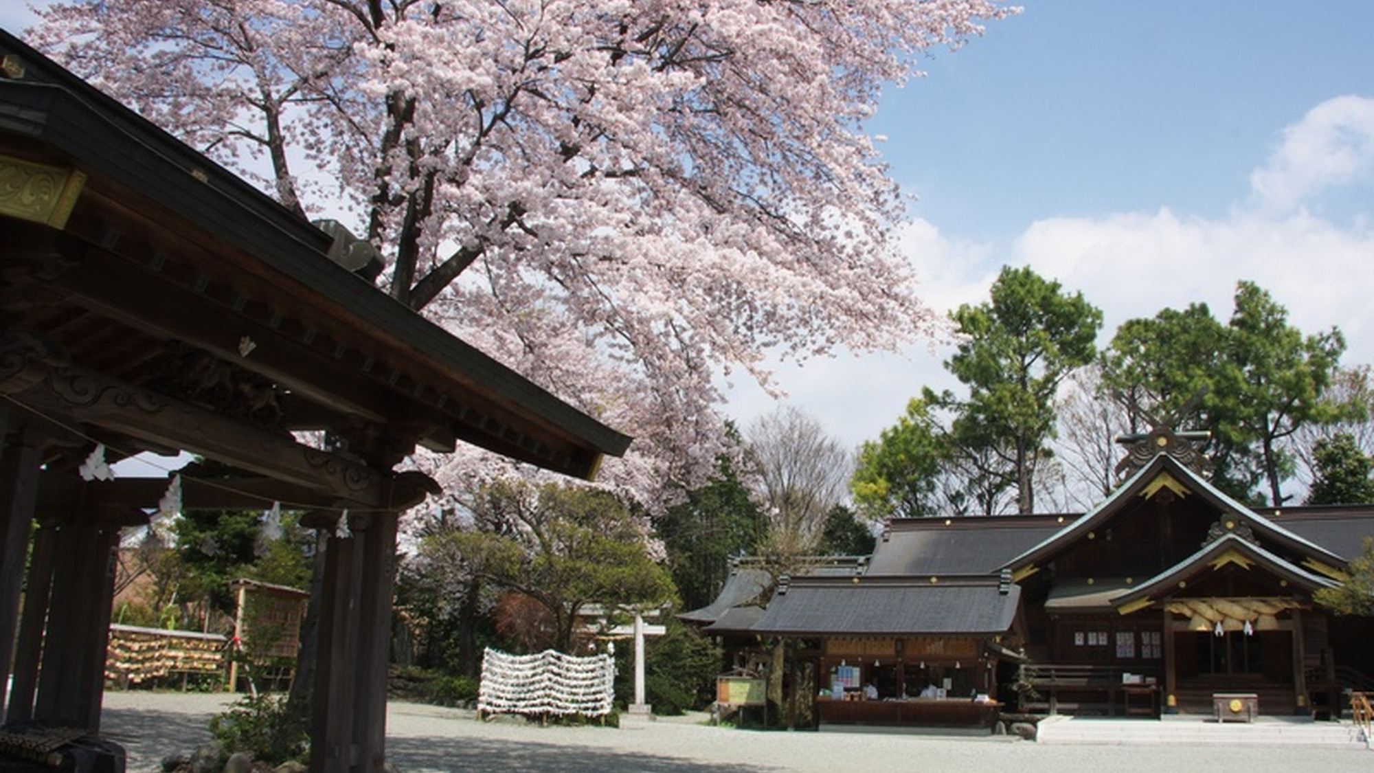 【出雲大社】全国の神様達が集う神社の古社です。