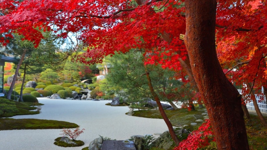 【足立美術館】日本美の粋を極める美しい日本庭園や、陶芸などの収蔵品を展示する美術館です。