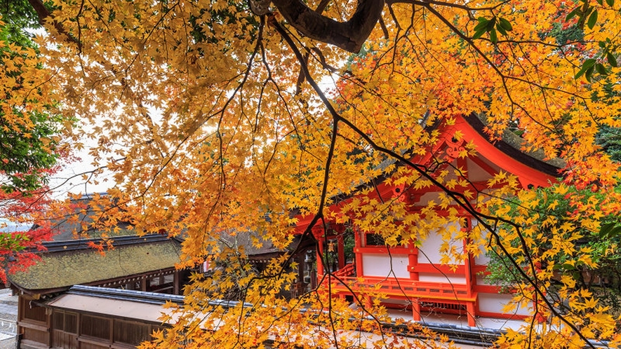 【日御碕神社】国の重要文化財にも指定されています。