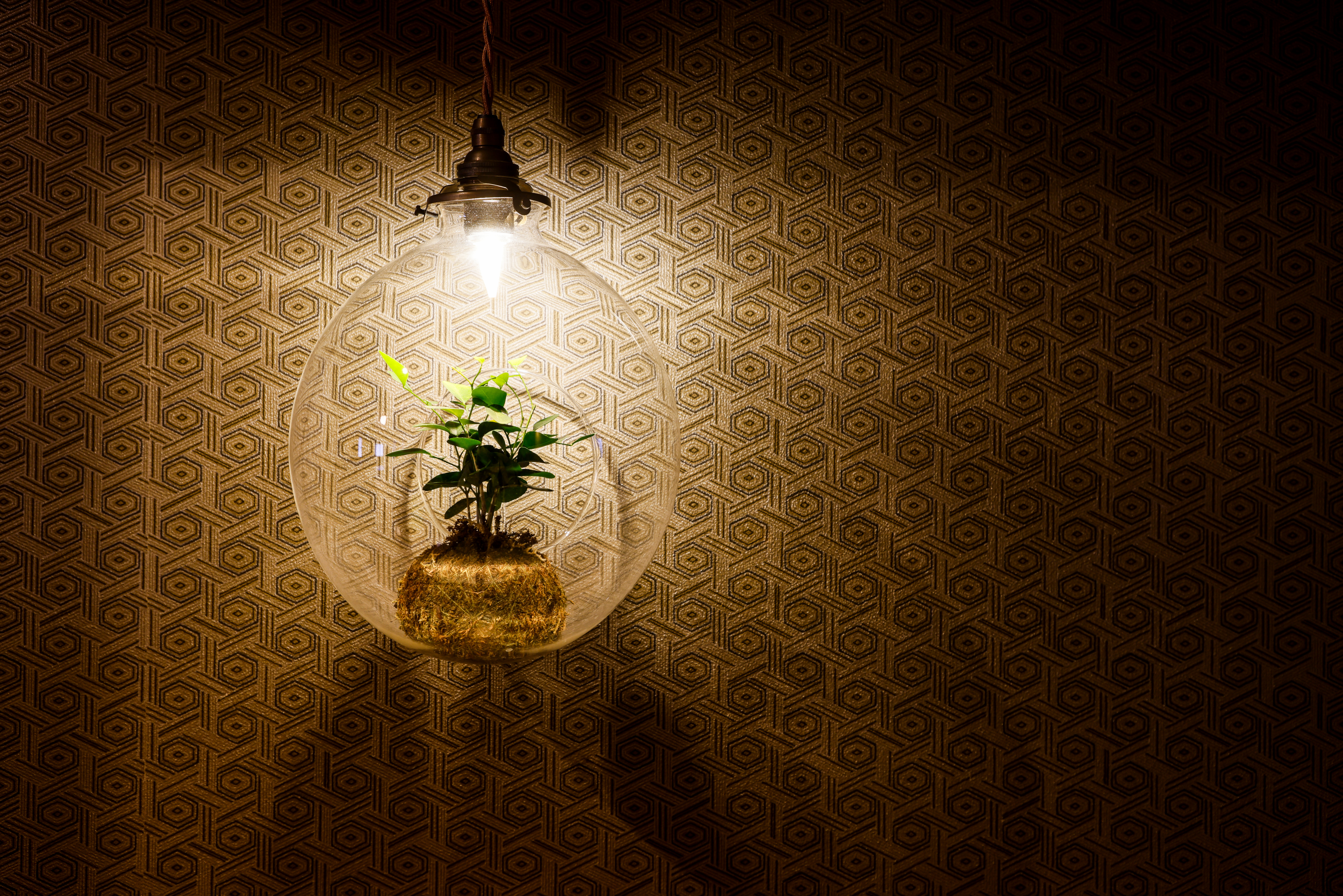 部屋のオブジェ