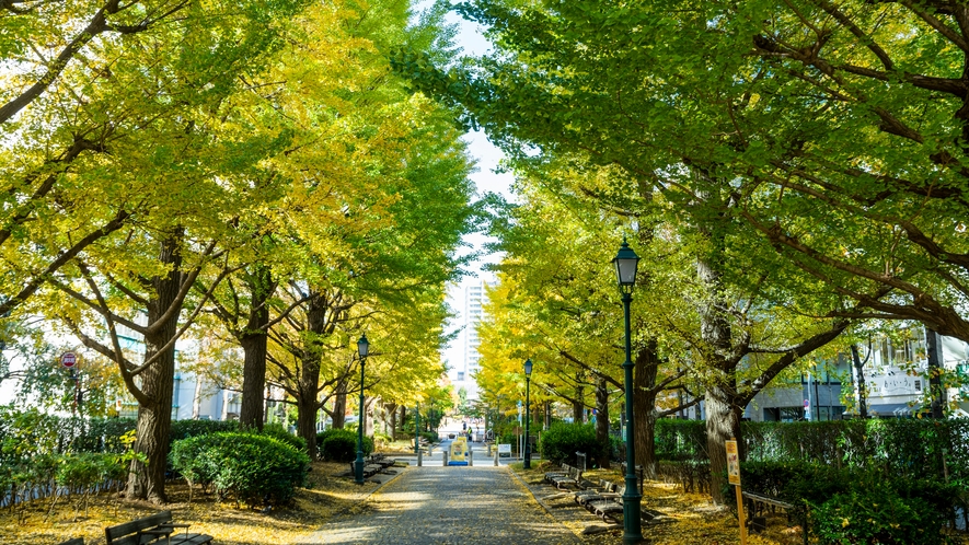 浜町公園前（明治座通り）