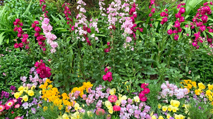 ・アカオハーブ＆ローズガーデン：バラとハーブに囲まれた個性あふれる庭園