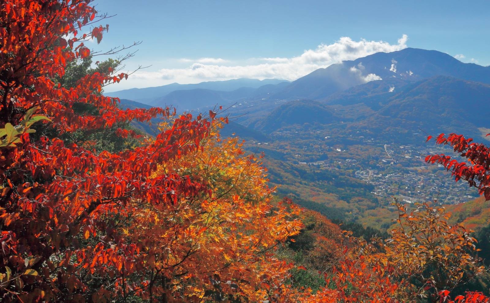レイトアウトプラン【1泊2食付き】