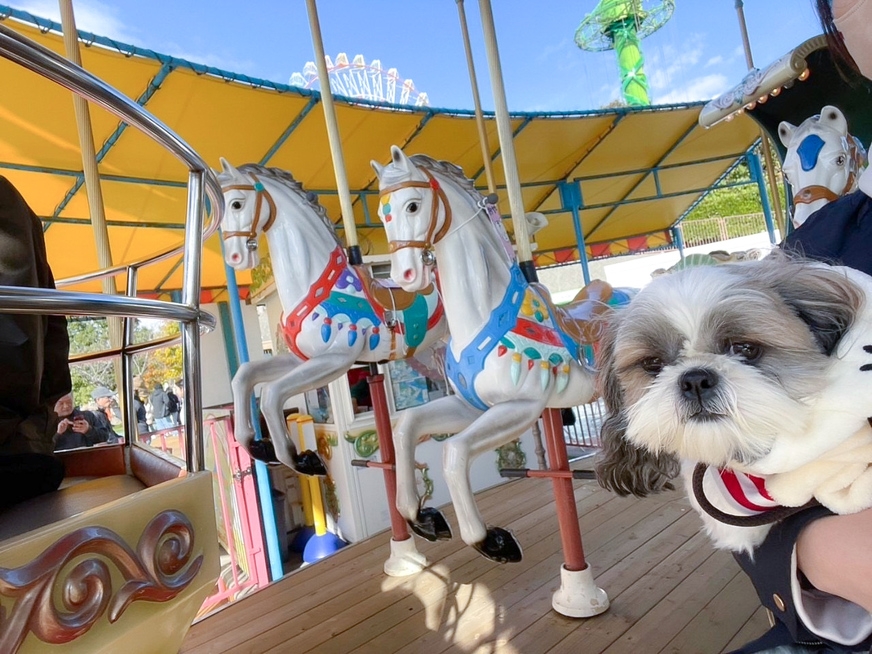 【1泊2食】お得な！浜名湖パルパル入園チケット付きプラン
