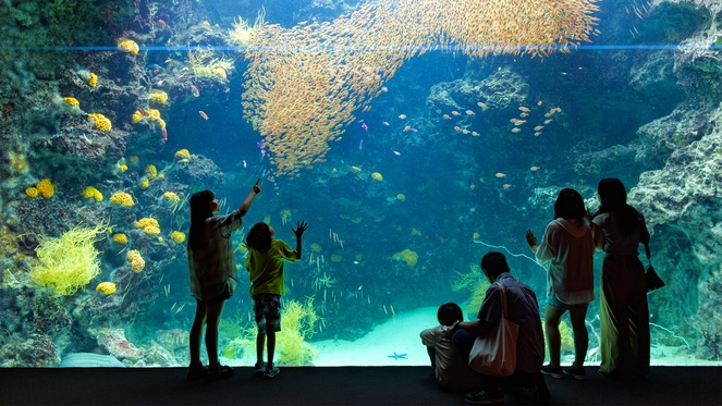 【水族館へGO！】アクアマリンふくしまチケット付きプラン＜素泊り＞