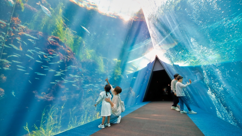 【水族館へGO！】アクアマリンふくしまチケット付きプラン＜素泊り＞