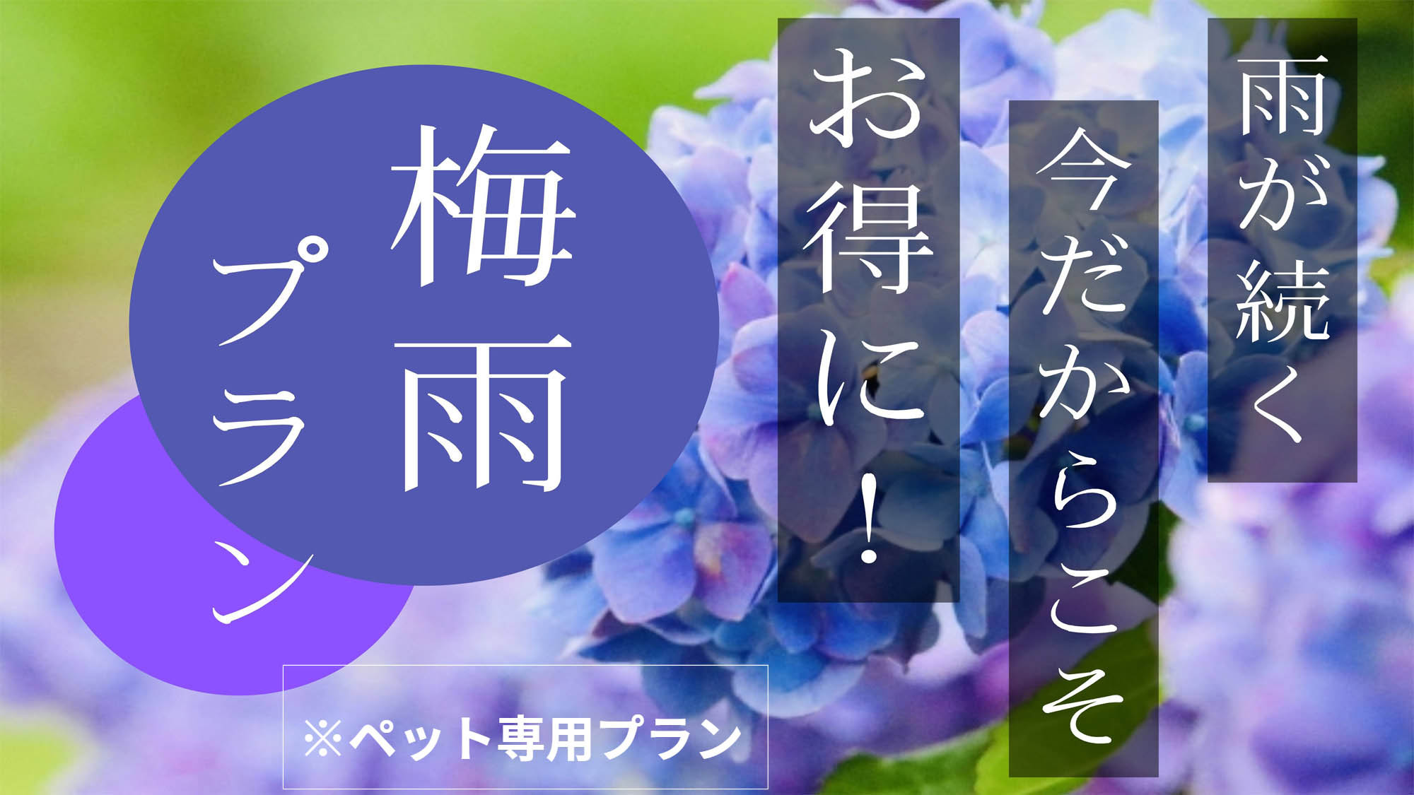 【ペット専用　梅雨限定★特典付き】女将おすすめのデザート＆食前酒をサービス（季節のエノハフルコース）