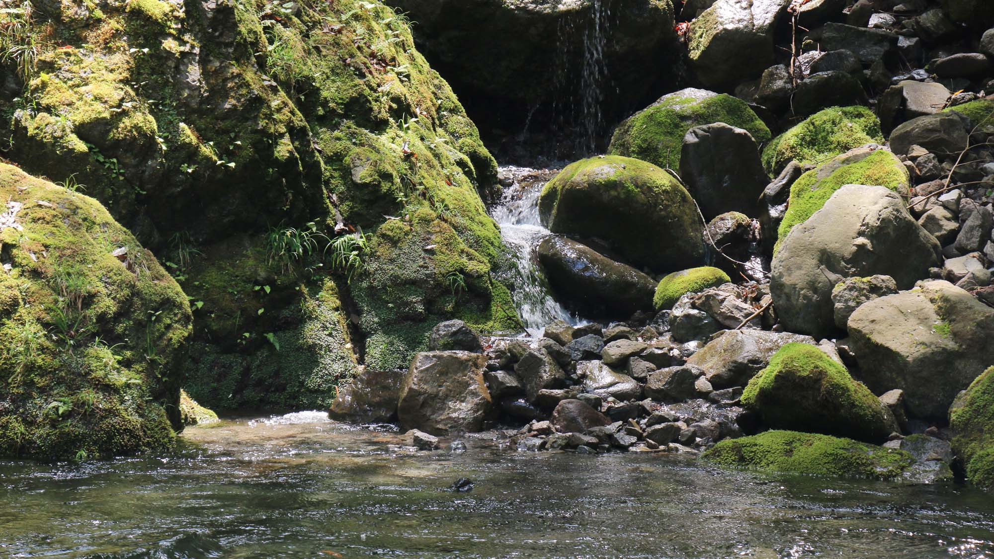 【素泊り】清流と自然に囲まれたロケーション！ゆったりのんびりとしたひとときを