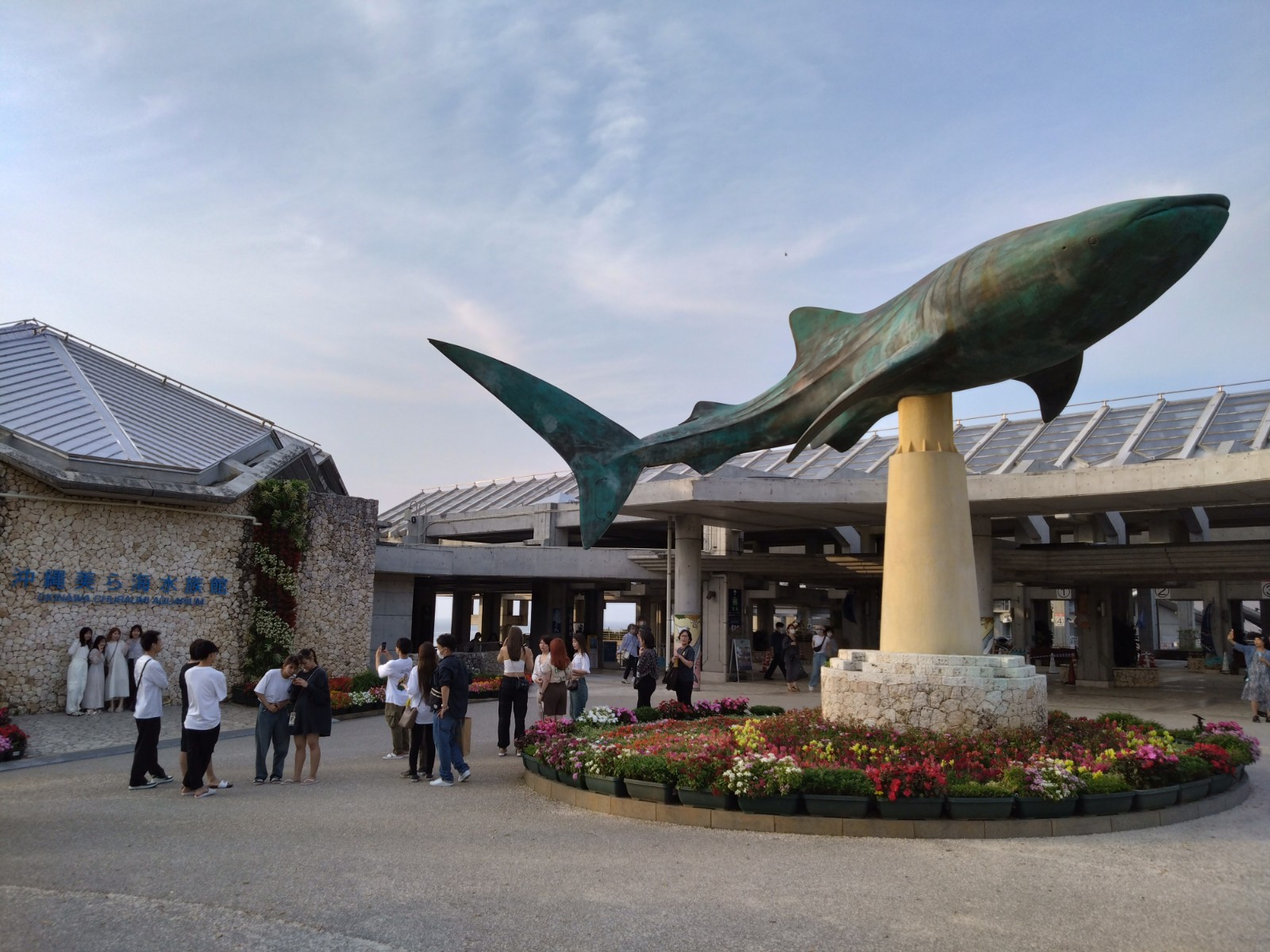 近隣施設の沖縄海洋博記念公園内の美ら海水族館