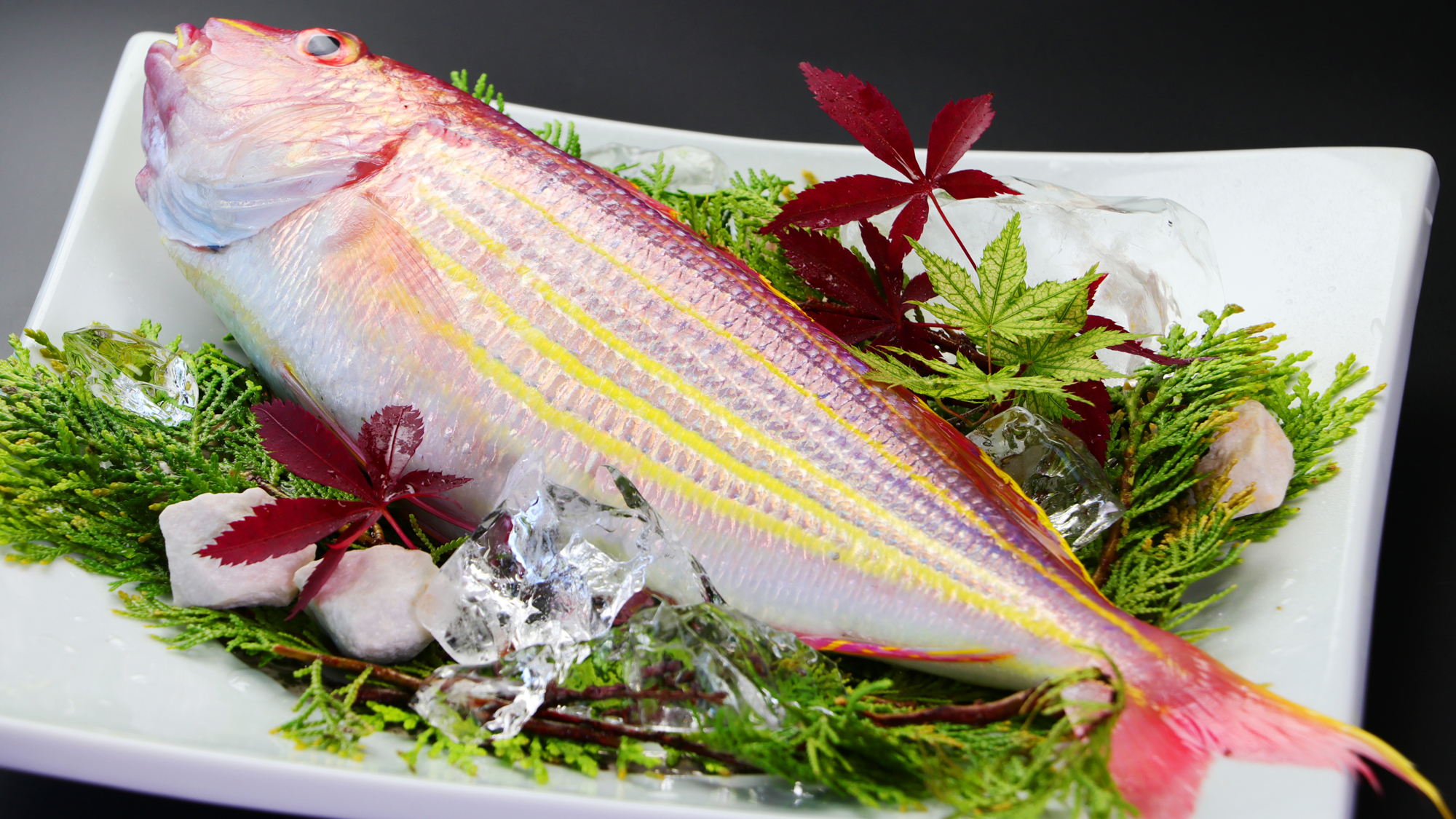 【清蒸鮮魚】漁師町の新鮮な魚